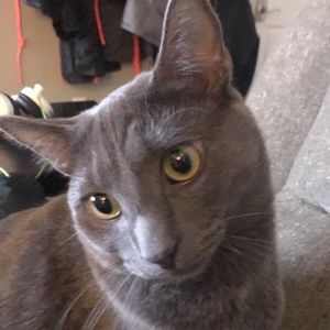 Meet your Posher, Nate